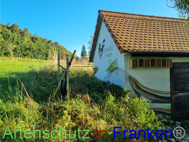 © Artenschutz in Franken® Bild zum Eintrag (1092093-160)