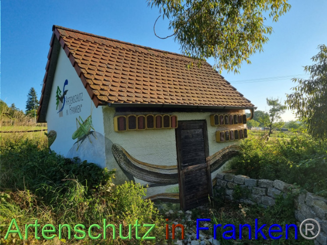 © Artenschutz in Franken® Bild zum Eintrag (1092095-160)