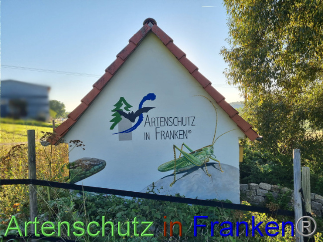 © Artenschutz in Franken® Bild zum Eintrag (1092100-160)