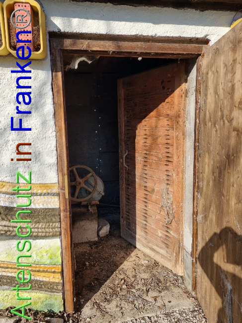 © Artenschutz in Franken® Bild zum Eintrag (1092107-160)