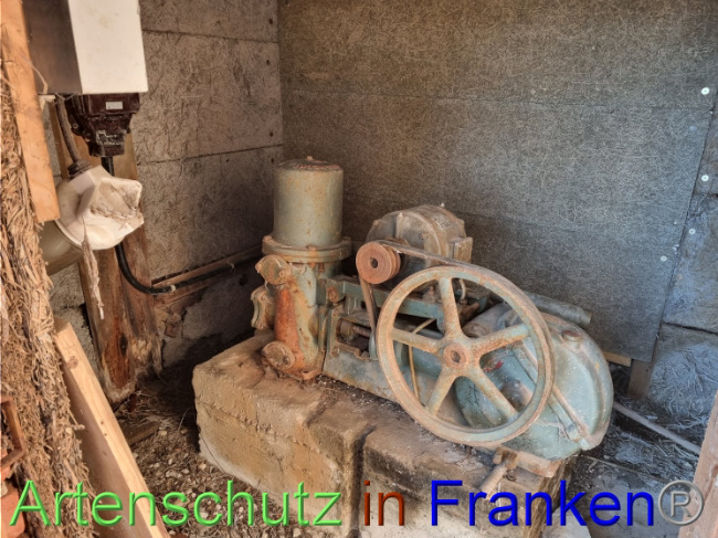 © Artenschutz in Franken® Bild zum Eintrag (1092108-160)