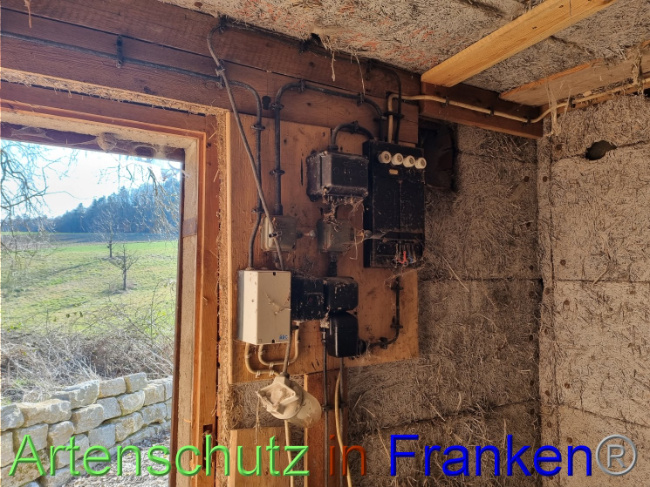 © Artenschutz in Franken® Bild zum Eintrag (1092109-160)