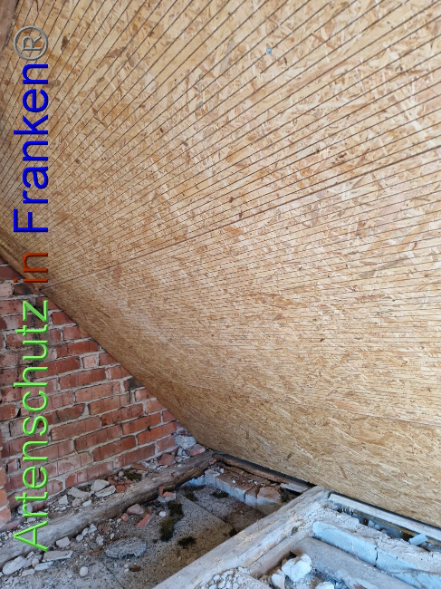 © Artenschutz in Franken® Bild zum Eintrag (1092191-160)