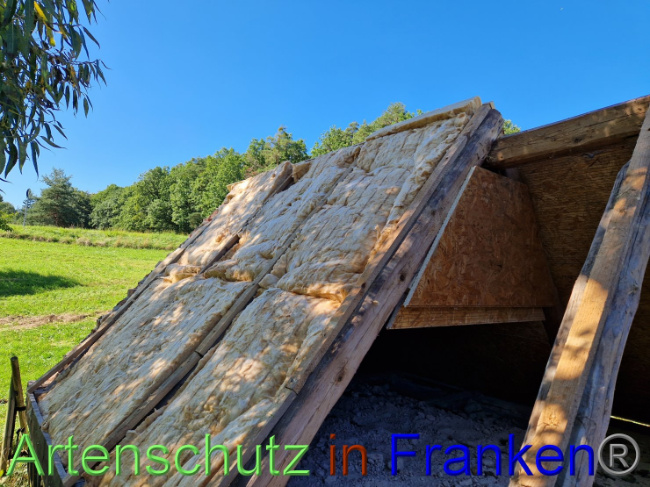 © Artenschutz in Franken® Bild zum Eintrag (1092199-160)