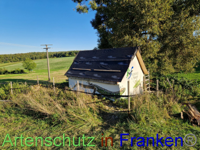 © Artenschutz in Franken® Bild zum Eintrag (1092200-160)