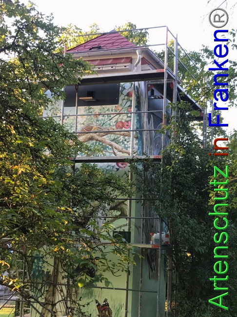 © Artenschutz in Franken® Bild zum Eintrag (1092318-160)