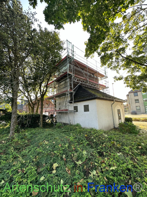 Bild zum Eintrag (1092358-160)