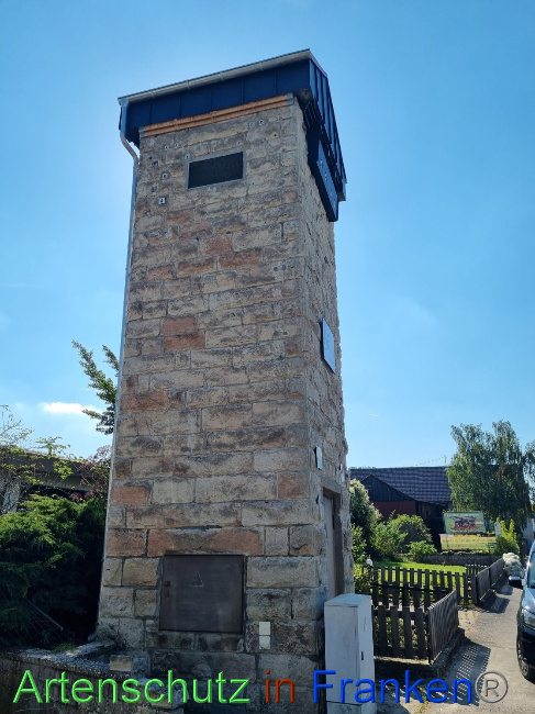 © Artenschutz in Franken® Bild zum Eintrag (1092455-160)