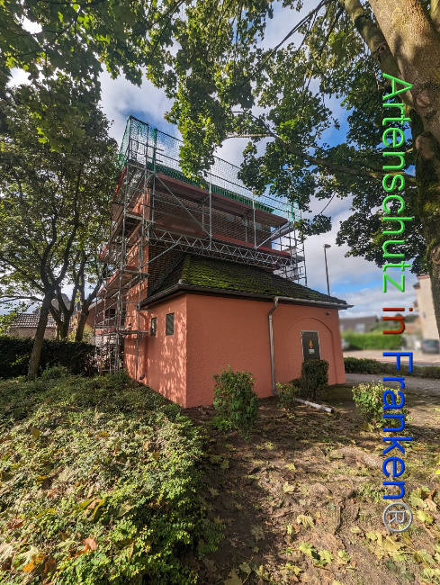 © Artenschutz in Franken® Bild zum Eintrag (1092599-160)