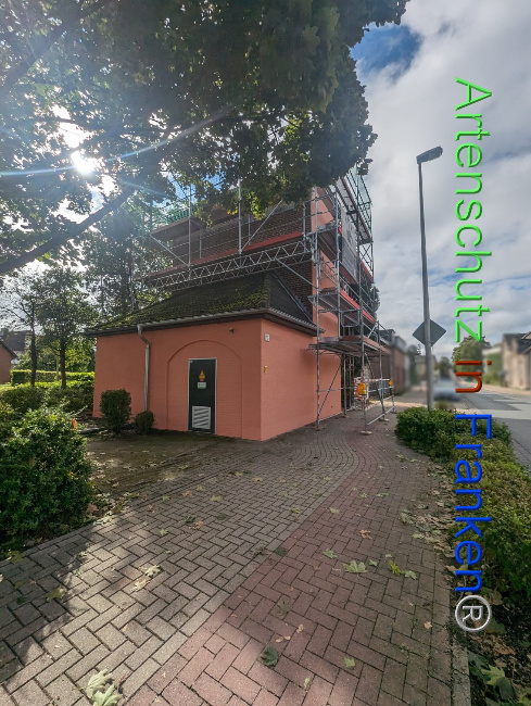 © Artenschutz in Franken® Bild zum Eintrag (1092600-160)