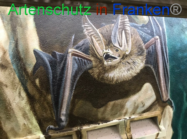 © Artenschutz in Franken® Bild zum Eintrag (1092644-160)