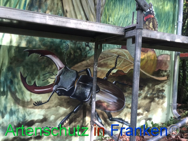 © Artenschutz in Franken® Bild zum Eintrag (1092653-160)