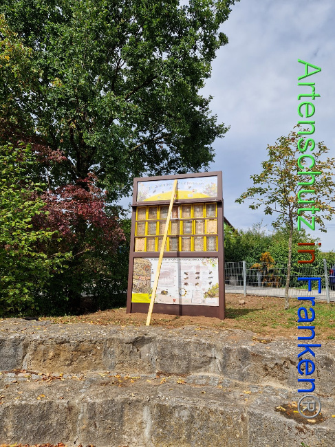 © Artenschutz in Franken® Bild zum Eintrag (1092664-160)