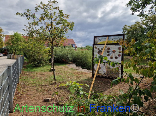 Bild zum Eintrag (1092667-160)