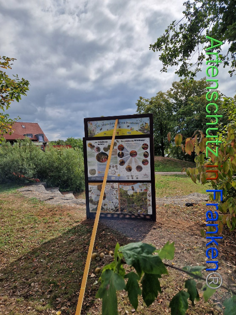 Bild zum Eintrag (1092670-160)