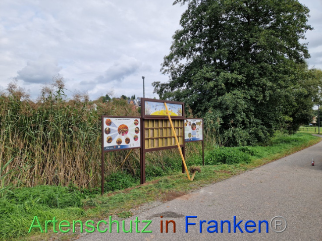 Bild zum Eintrag (1092677-160)