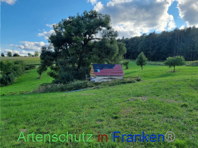 Bild zum Eintrag (1092688-160)