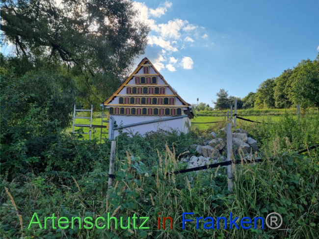 Bild zum Eintrag (1092692-160)