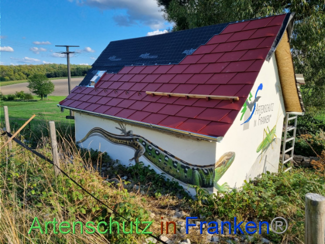 © Artenschutz in Franken® Bild zum Eintrag (1092697-160)