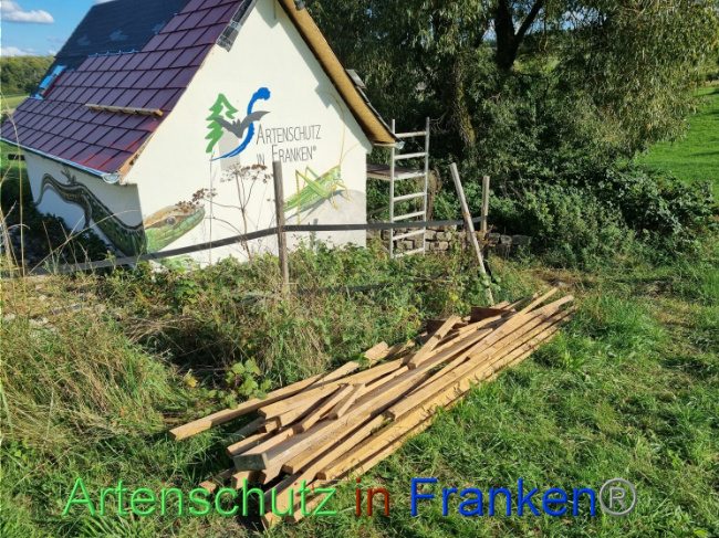 © Artenschutz in Franken® Bild zum Eintrag (1092698-160)