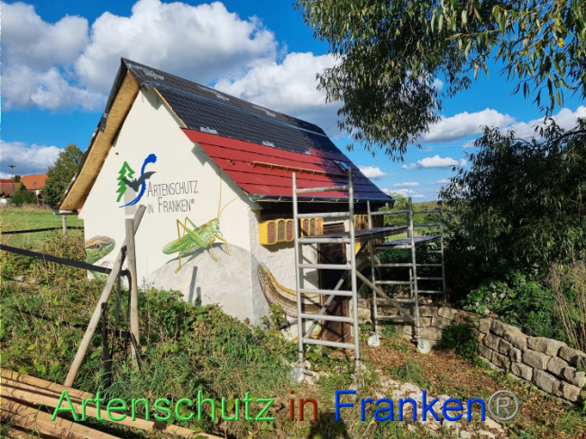 © Artenschutz in Franken® Bild zum Eintrag (1092699-160)