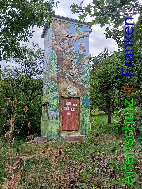 © Artenschutz in Franken® Bild zum Eintrag (1092788-160)
