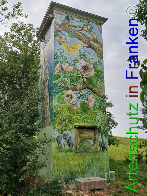 © Artenschutz in Franken® Bild zum Eintrag (1092789-160)