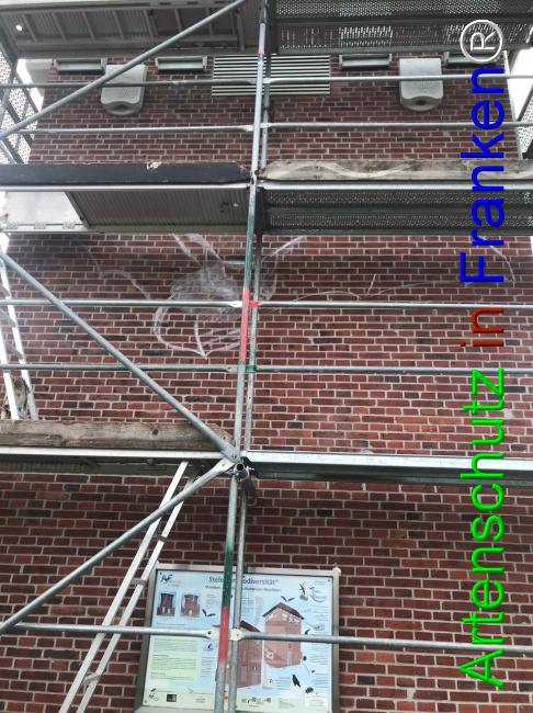 © Artenschutz in Franken® Bild zum Eintrag (1092801-160)