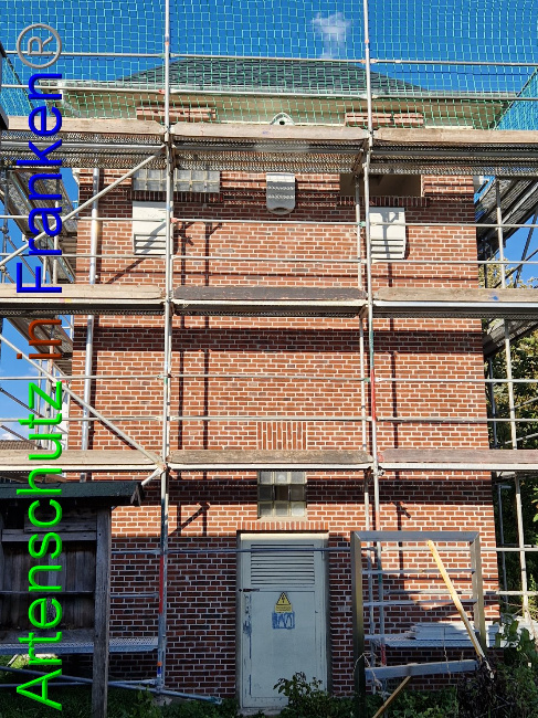© Artenschutz in Franken® Bild zum Eintrag (1092835-160)