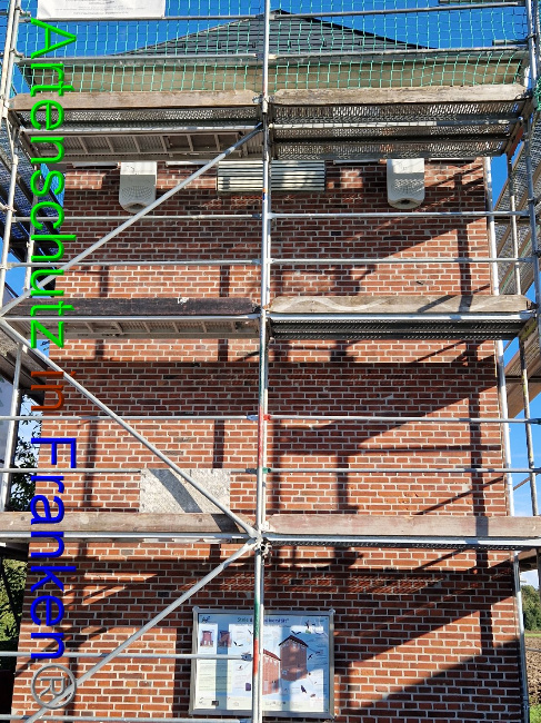 © Artenschutz in Franken® Bild zum Eintrag (1092837-160)