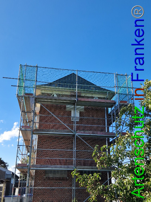 © Artenschutz in Franken® Bild zum Eintrag (1092839-160)
