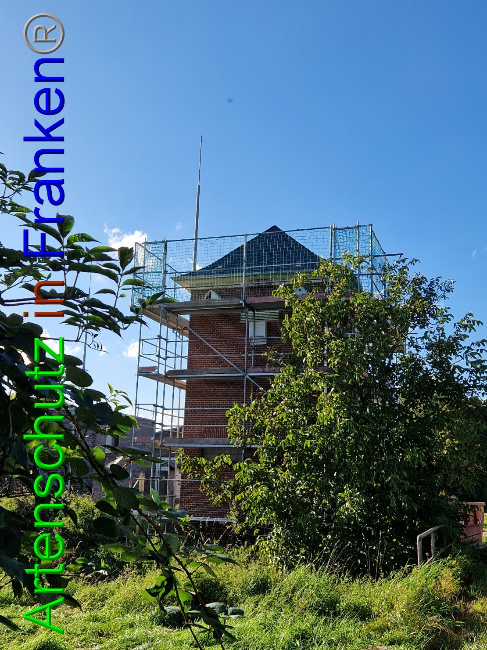 © Artenschutz in Franken® Bild zum Eintrag (1092841-160)