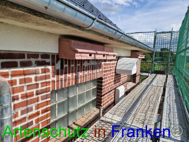 © Artenschutz in Franken® Bild zum Eintrag (1092848-160)