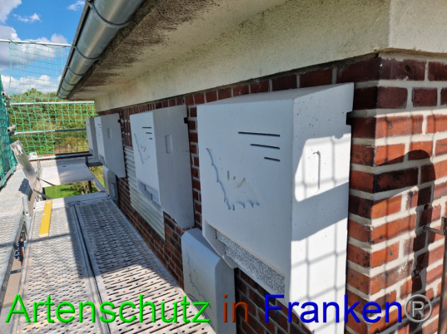 © Artenschutz in Franken® Bild zum Eintrag (1092852-160)