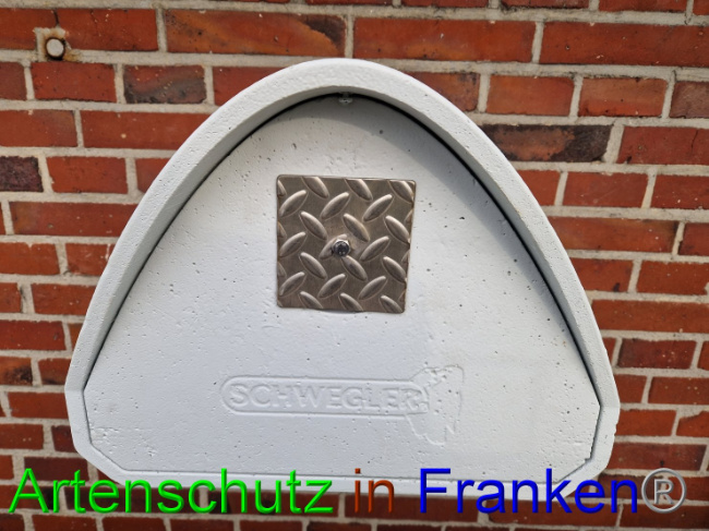 © Artenschutz in Franken® Bild zum Eintrag (1092853-160)