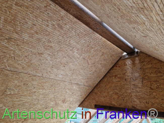 Bild zum Eintrag (1092927-160)