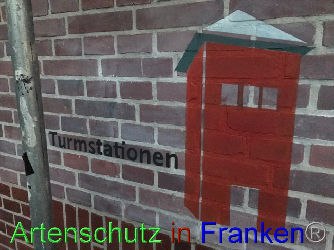 © Artenschutz in Franken® Bild zum Eintrag (1093052-160)