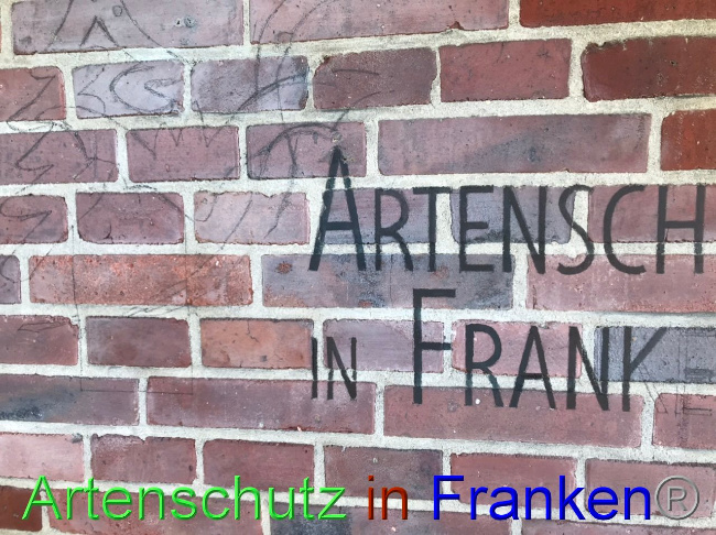 © Artenschutz in Franken® Bild zum Eintrag (1093053-160)