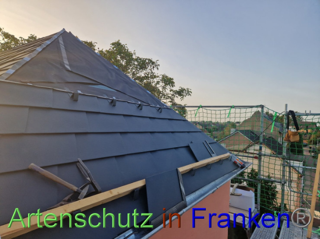© Artenschutz in Franken® Bild zum Eintrag (1093289-160)