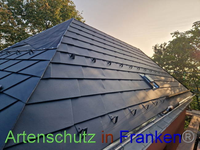 © Artenschutz in Franken® Bild zum Eintrag (1093292-160)