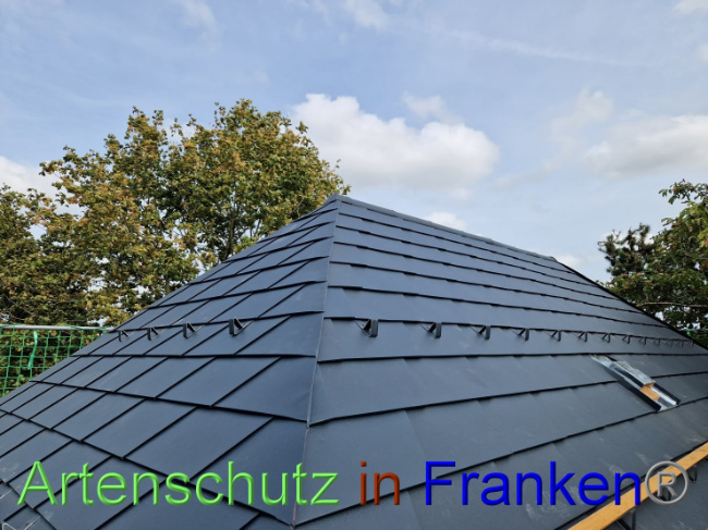 © Artenschutz in Franken® Bild zum Eintrag (1093295-160)