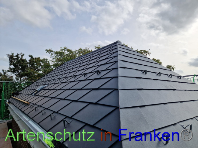 © Artenschutz in Franken® Bild zum Eintrag (1093296-160)
