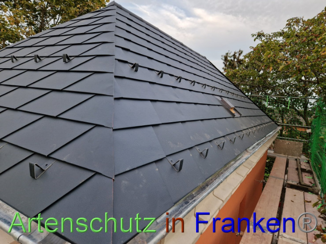 © Artenschutz in Franken® Bild zum Eintrag (1093297-160)