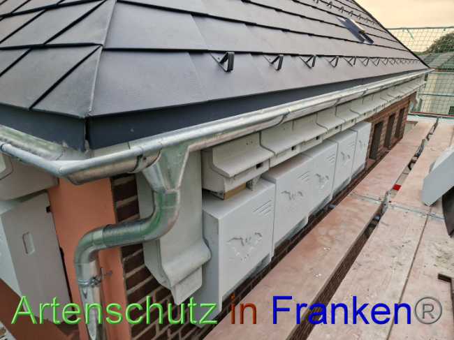 © Artenschutz in Franken® Bild zum Eintrag (1093302-160)