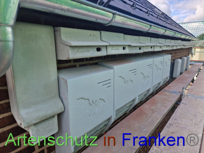 © Artenschutz in Franken® Bild zum Eintrag (1093313-160)