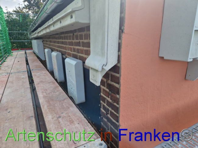 © Artenschutz in Franken® Bild zum Eintrag (1093314-160)