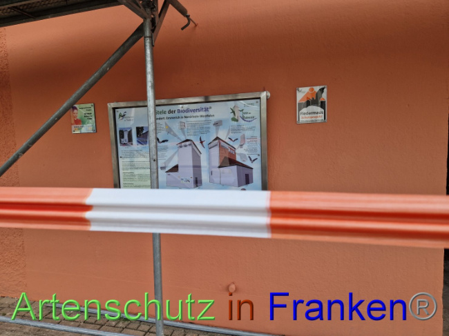 © Artenschutz in Franken® Bild zum Eintrag (1093323-160)