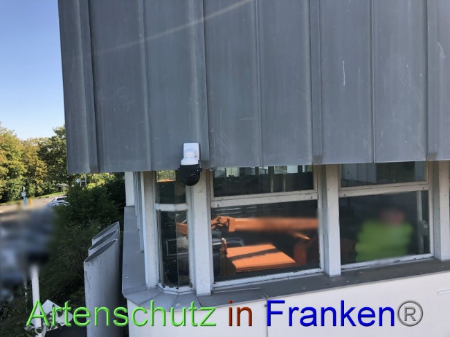 © Artenschutz in Franken® Bild zum Eintrag (1093339-160)