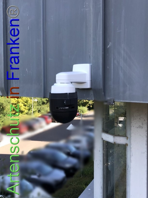 © Artenschutz in Franken® Bild zum Eintrag (1093340-160)