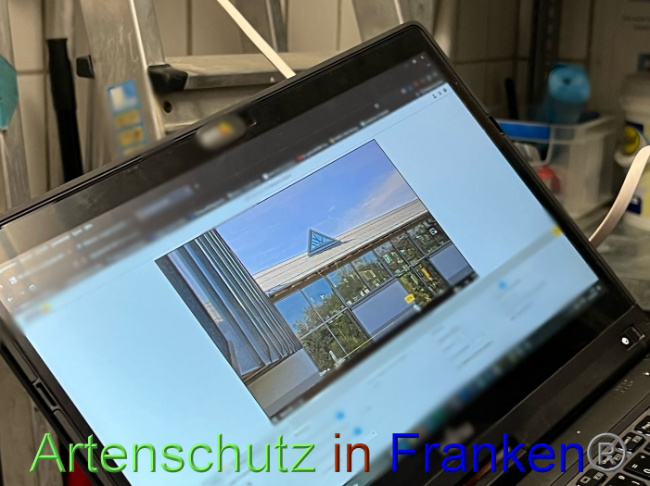© Artenschutz in Franken® Bild zum Eintrag (1093341-160)